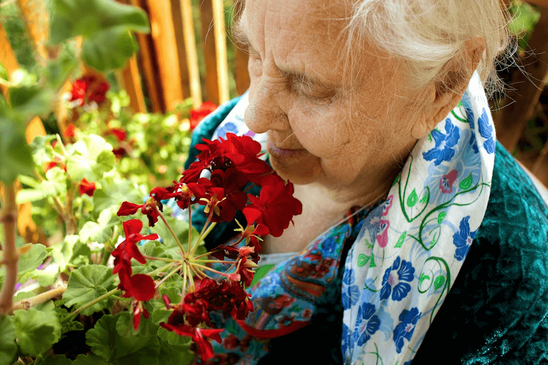 Atelier jardinage artistique avec les résidents de Vitalité Sérénité Toulouse