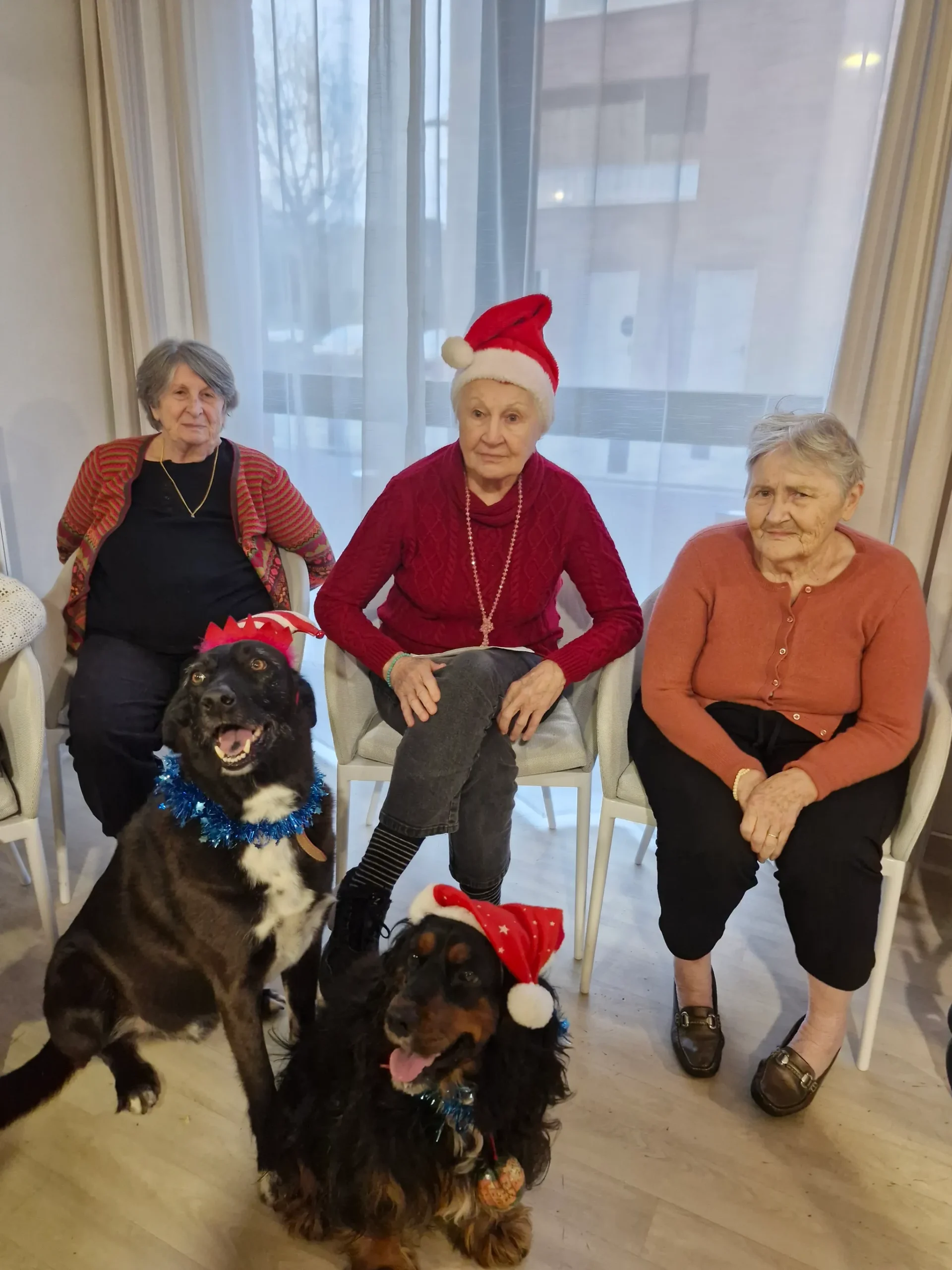 Séance de médiation animale en EHPAD avec Media Canin à Toulouse